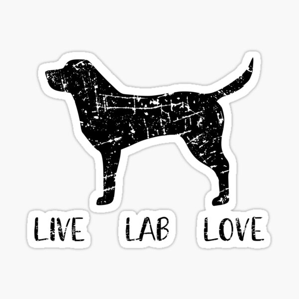 Lab Stickers, Labrador Stickers - Distressed Live Lab Love Labrador Sticker