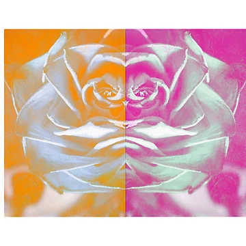 Artwork thumbnail, two half Roses by Roswitha Lorz