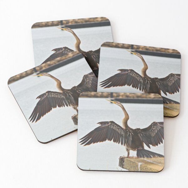 Item preview, A Shag Drying Its Wings In The Breeze designed and sold by Jason Gilbert.