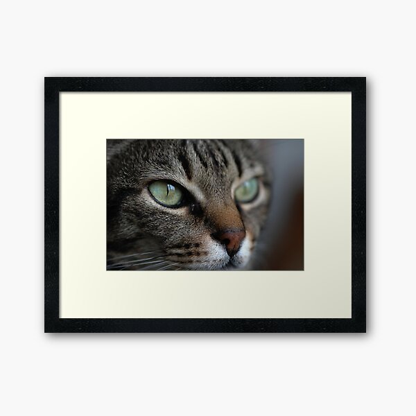 Item preview, Me designed and sold by Nerone.