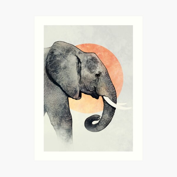 Elefante Lámina artística