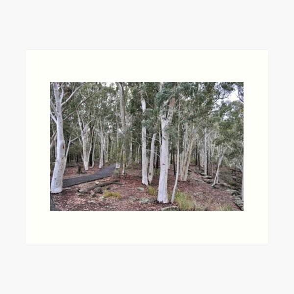 Item preview, To White Gum Lookout designed and sold by Terry Everson.