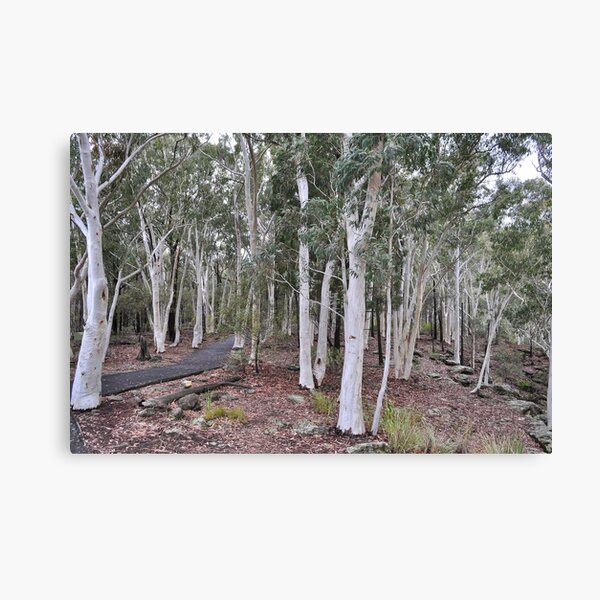 Item preview, To White Gum Lookout designed and sold by Terry Everson.