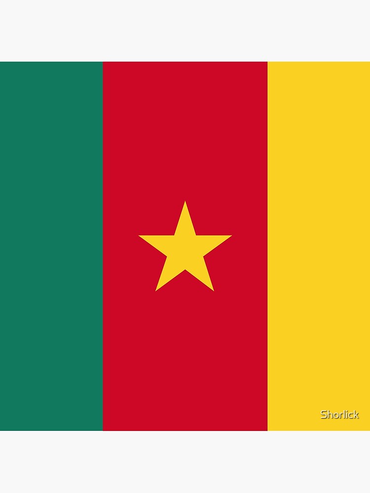 Aperçu 3 sur 3. Coussin avec l'œuvre Drapeau du Cameroun créée et vendue par Shorlick.