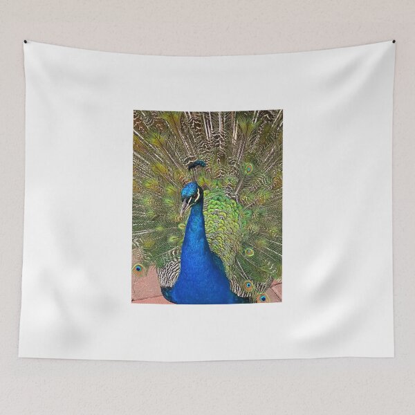 Item preview, Peacock Beauty designed and sold by AndyKazie.