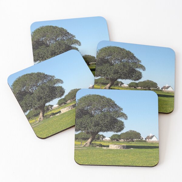 Item preview, Tree Farm Green Meadows Spring Landscape, South Africa  designed and sold by worldways.