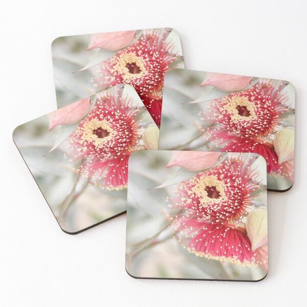 Item preview, Gumnuts and Flowers designed and sold by imaginethis.