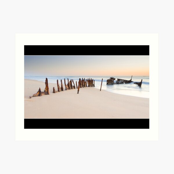 SS Dicky Art Print