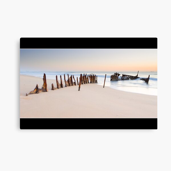 SS Dicky Canvas Print