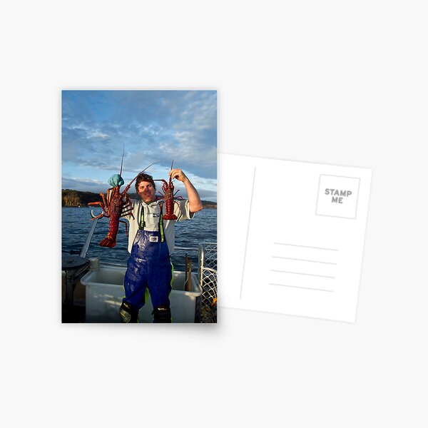 Happy Crayfisherman with some of the morning catch Postcard