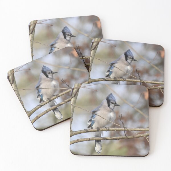 Item preview, BlueJay on a branch  designed and sold by Tonia Delozier's Photography .