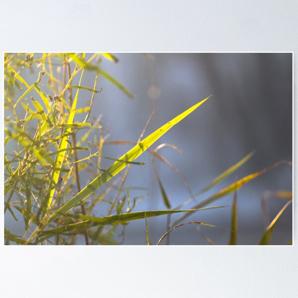 Untitled 2 Poster