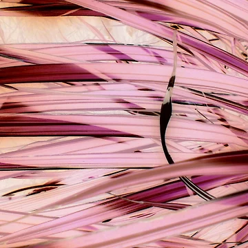 Aperçu de l'œuvre Flow de Andy Rhodes Art