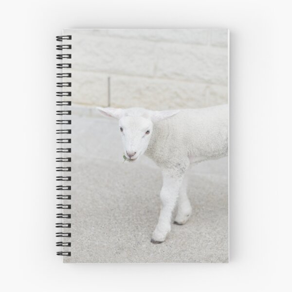 Item preview, Munching Lammy designed and sold by CathHolmesPhoto.