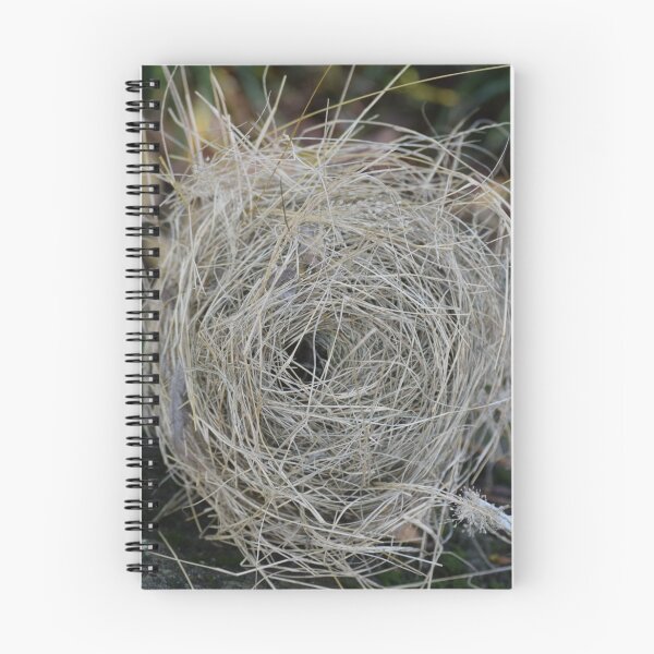 Item preview, birds nest on the ground designed and sold by Angel35.