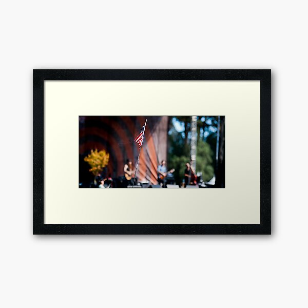 Americana Framed Art Print