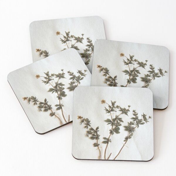 Item preview, 16.2.2020: Dried Tormentil designed and sold by Petri Volanen.