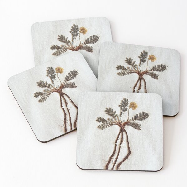 Item preview, 16.2.2020: Dried Shrubby designed and sold by Petri Volanen.