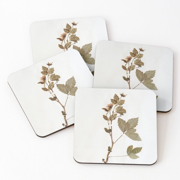 Item preview, 16.2.2020: Dried Arctic Bramble designed and sold by Petri Volanen.