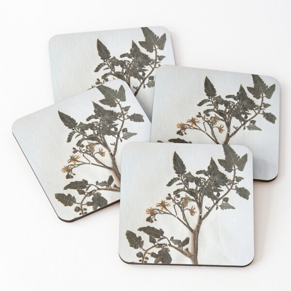 Item preview, 16.2.2020: Dried Tomato Plant designed and sold by Petri Volanen.