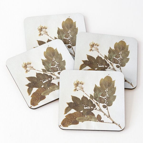 Item preview, 16.2.2020: Dried Potato Plant designed and sold by Petri Volanen.