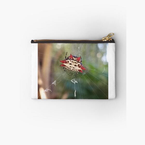 Item preview, orb weaver spider designed and sold by TabithaMalone.