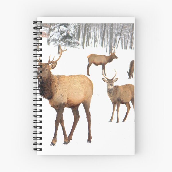 Item preview, Deer Grazing (for whatever they can find). designed and sold by vette.