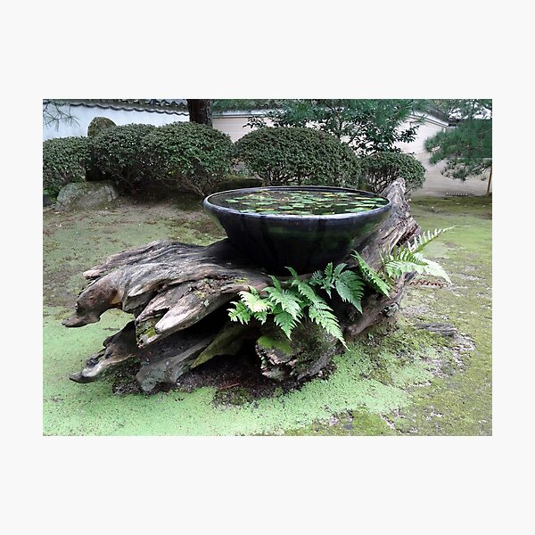 Item preview, Beautiful Water Bowl on a Tree Trunk Base designed and sold by cuisinecat2.