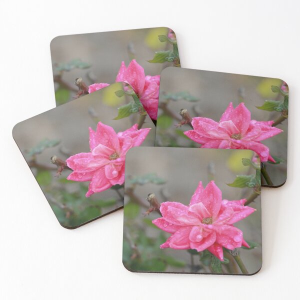 Item preview, February Rose with Dew designed and sold by Susan Watson.