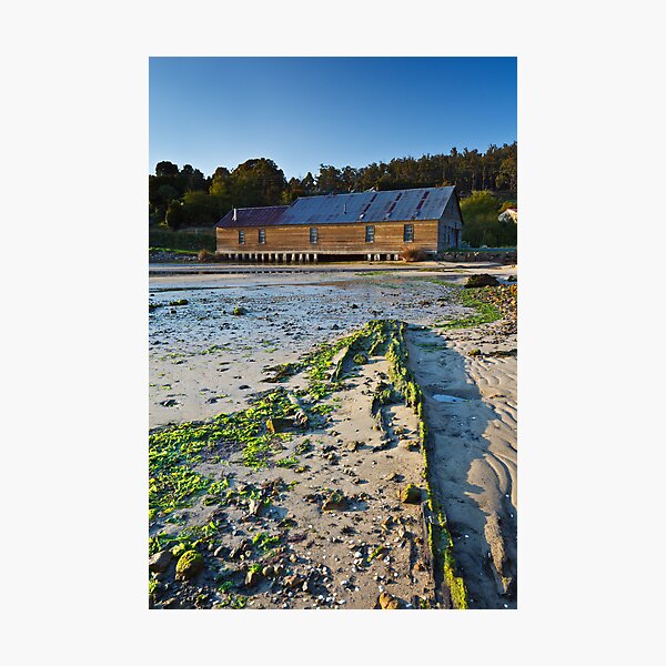 Item preview, Brooks Bay, Tasmania designed and sold by Chris Cobern.