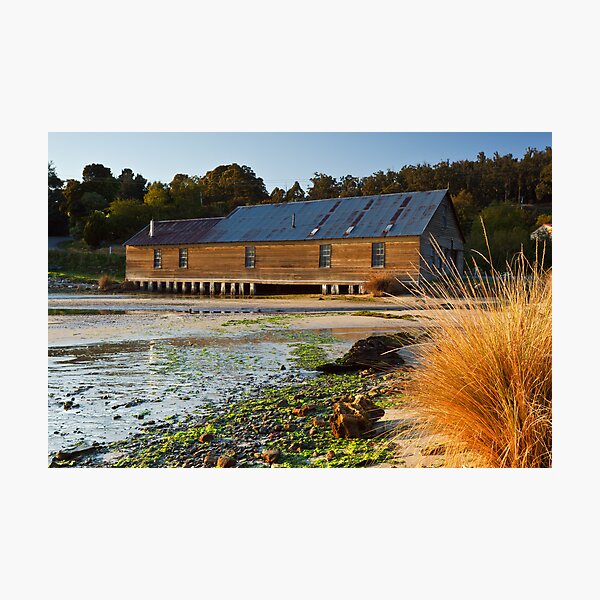 Item preview, Brooks Bay, Tasmania #2 designed and sold by Chris Cobern.
