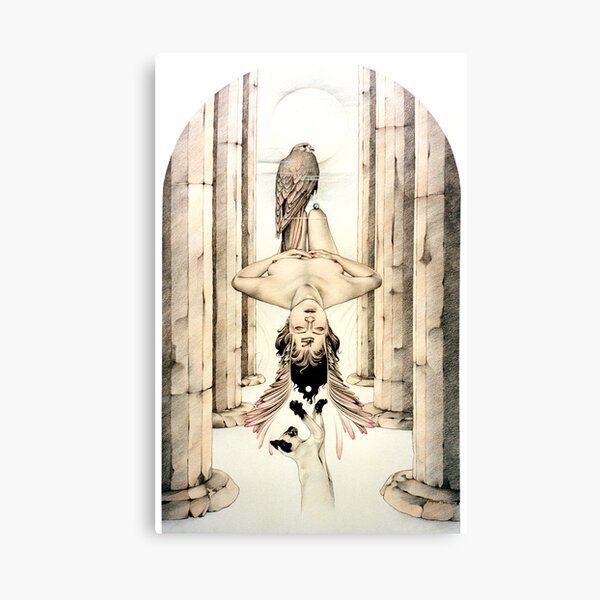 Trans Canvas Print