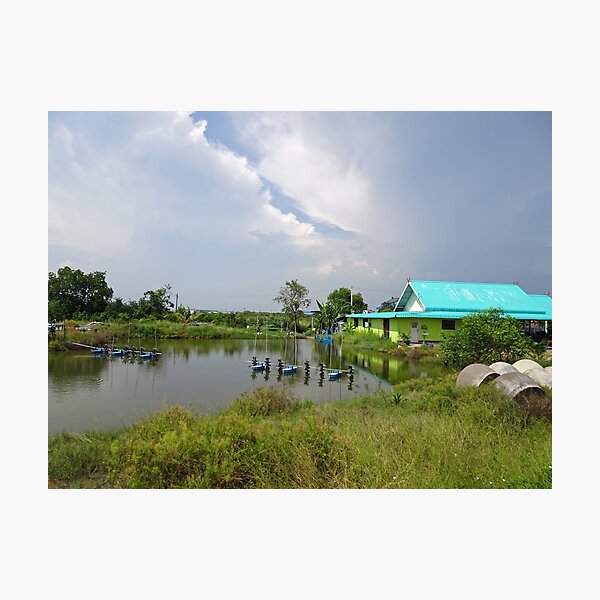 Item preview, Shrimp farm lake in Rural Thailand designed and sold by cuisinecat2.