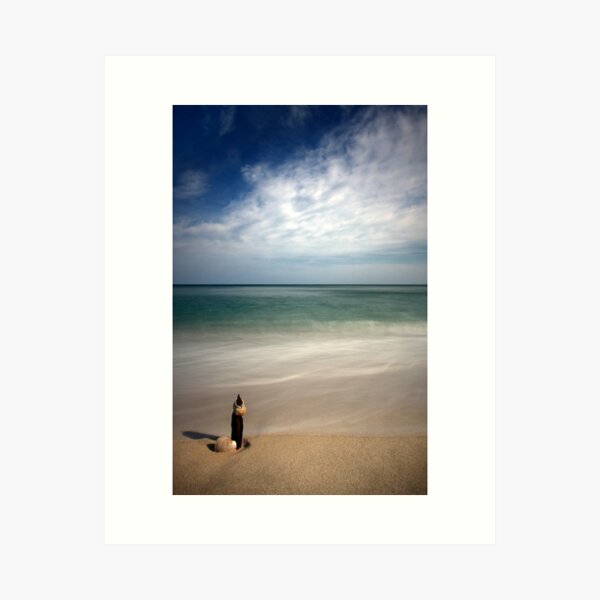 Longnook Beach Shell Art Print