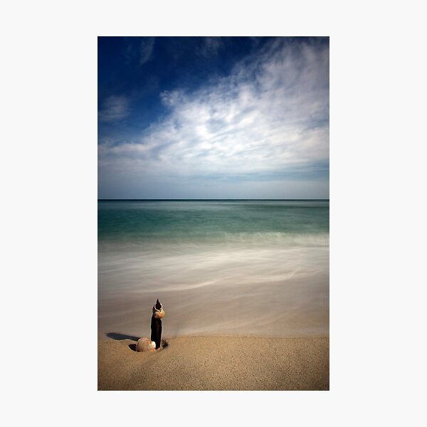 Longnook Beach Shell Photographic Print