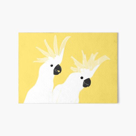 Cacatúas Lámina rígida