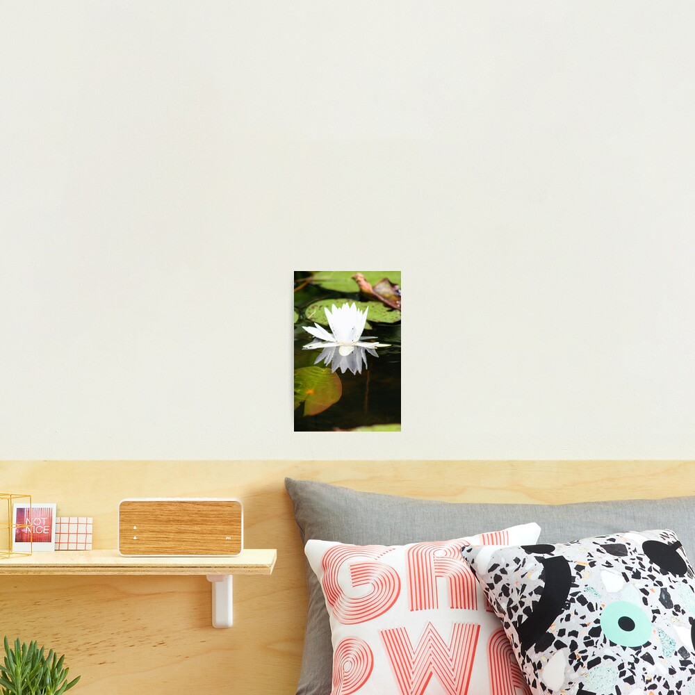 Item preview, Photographic Print designed and sold by RHMack.