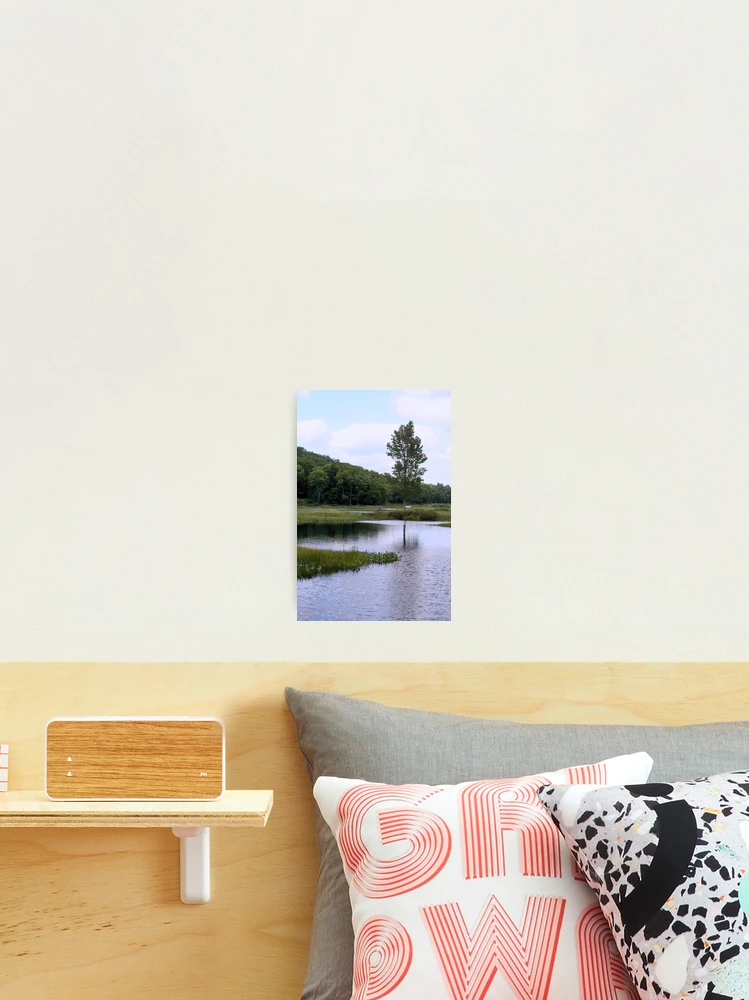 Thumbnail 2 von 3, Fotodruck, Sentinel designt und verkauft von RHMack.