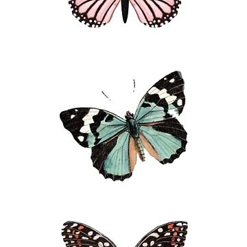 Artwork thumbnail, 3 Colored Butterflies by paytonstach