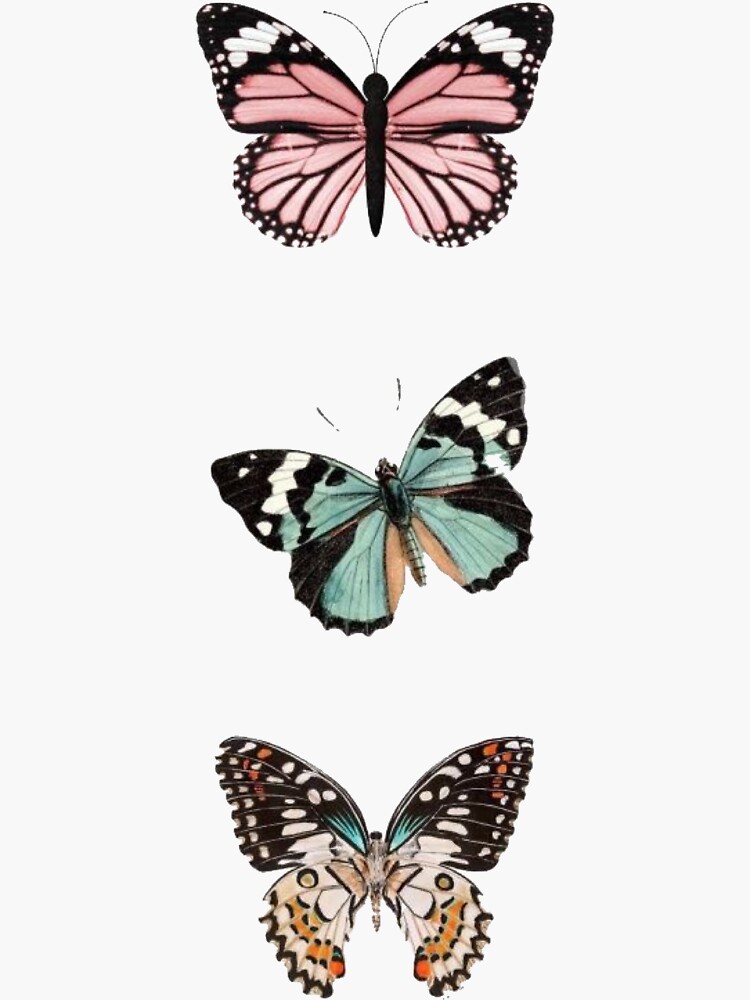 Thumbnail 3 of 3, Sticker, 3 Colored Butterflies designed and sold by paytonstach.