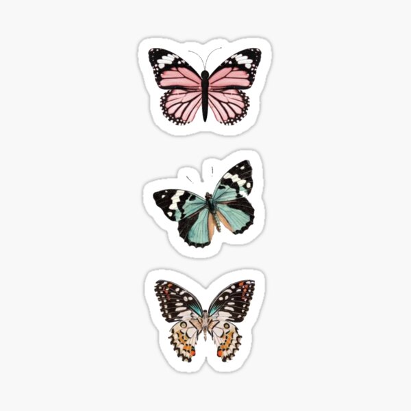 3 Colored Butterflies Sticker