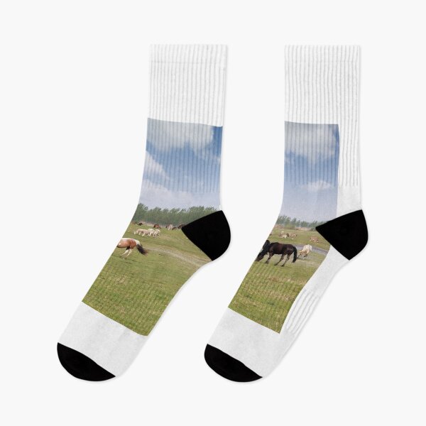 Item preview, herd of horses in field in spring landscape designed and sold by goceris.