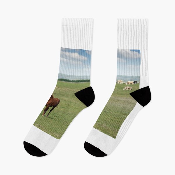Item preview, Mare and foal in field spring season designed and sold by goceris.