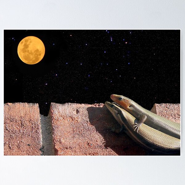 Item preview, Babe, Look At That Moon designed and sold by Carolyn  Fletcher.