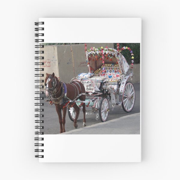 Item preview, DECORATED HORSE AND CARRIAGE-EGYPT designed and sold by JAYMILO.