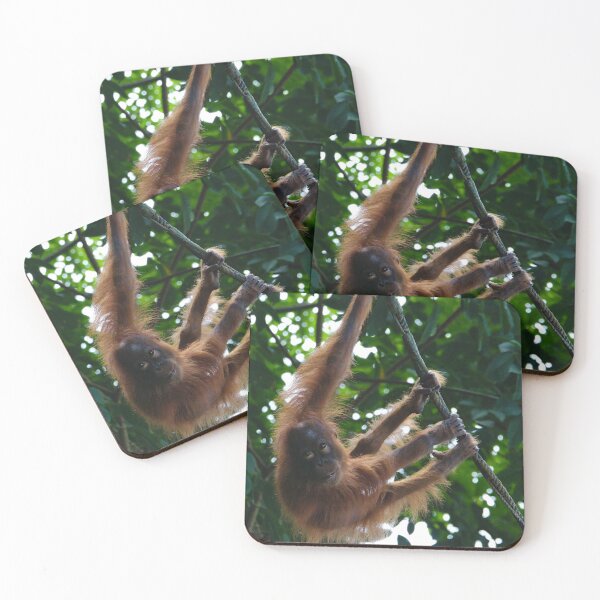 Item preview, Hanging monkey in nature designed and sold by Jasardpu.