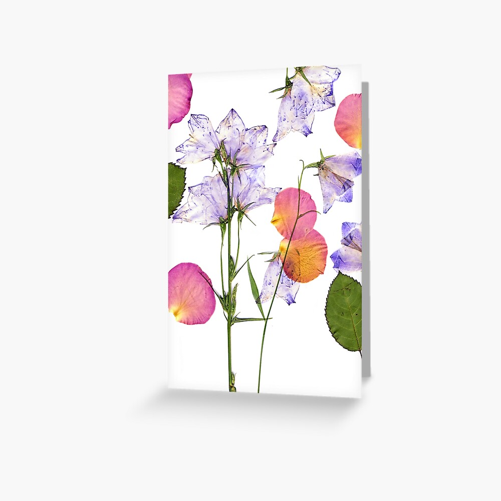 Item preview, Greeting Card designed and sold by safish-design.