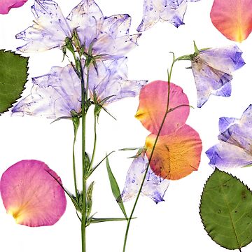 Artwork thumbnail, Delicate spring flowers and rose petals pressed by safish-design