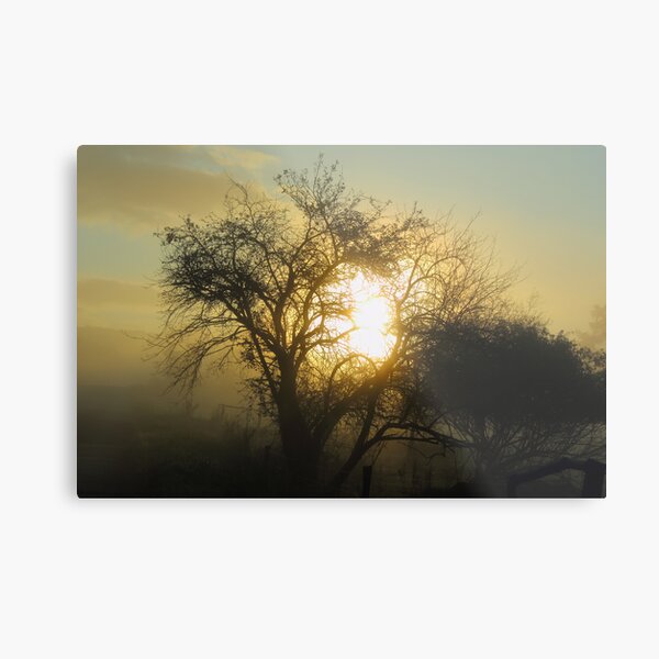 Redreaming Emerging from the Mist Metal Print