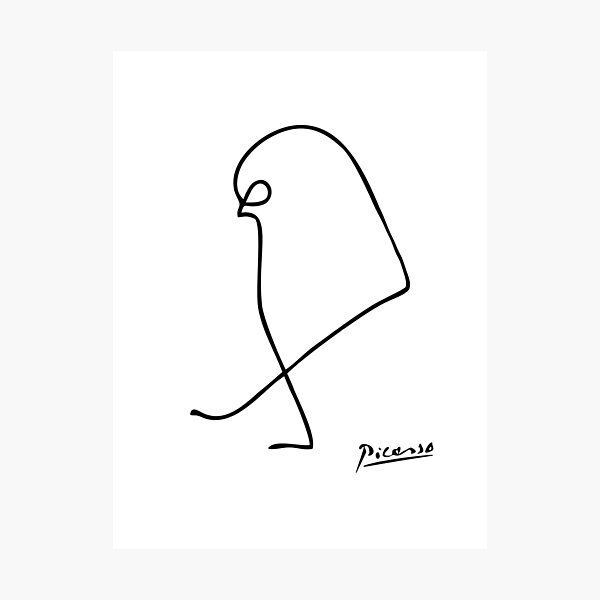 Picasso bird with signature Photographic Print